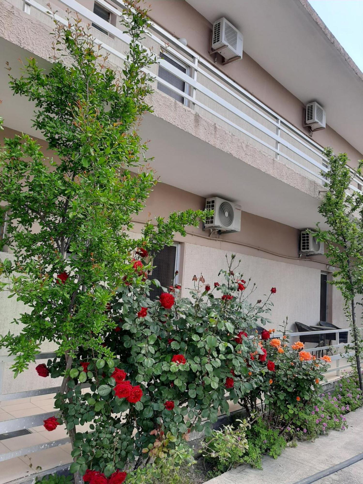 Studios Mona Agios Georgios  Dış mekan fotoğraf